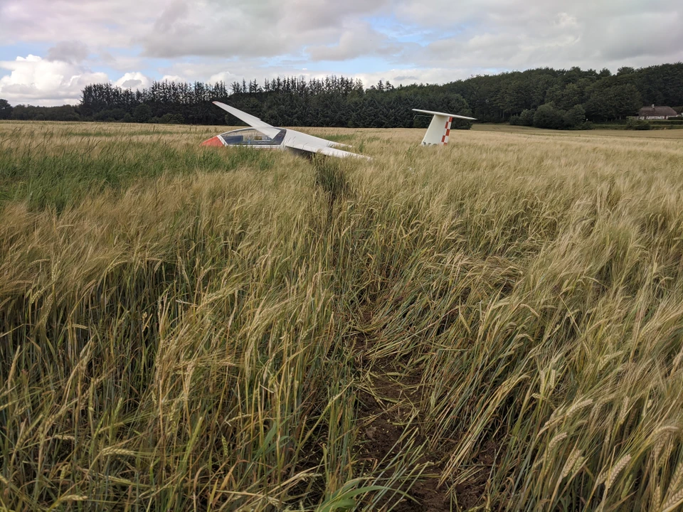 Foto af udelanding i mark