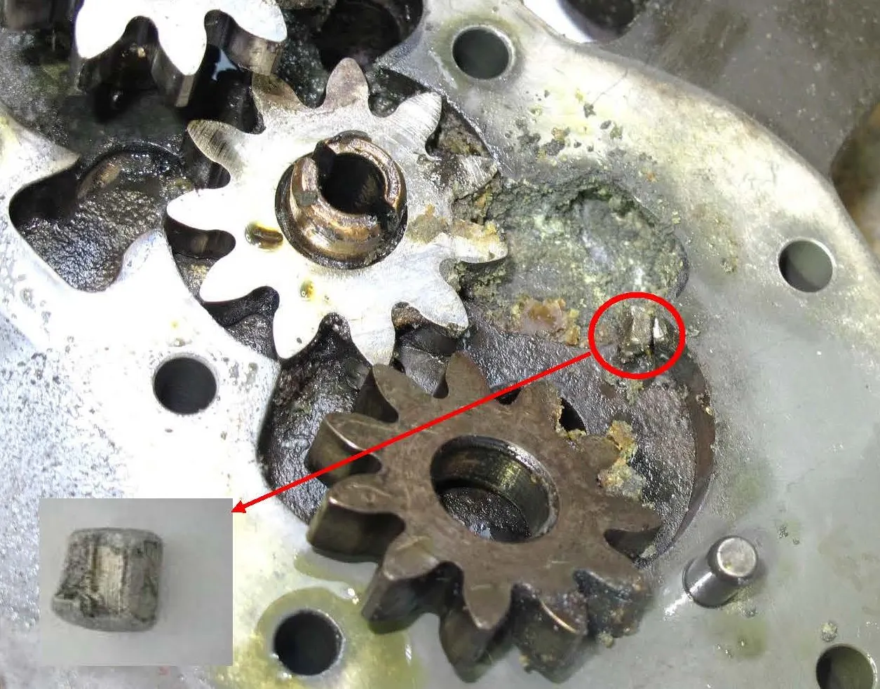 Engine oil scavenge pump disassembled with a piece of debris (gear had been displaced to show the piece of debris)
